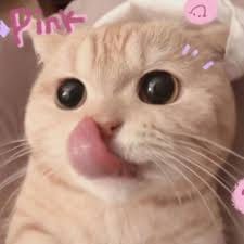 Andi Saputra avatar